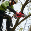 Milwaukee M 18 FHS 20 - 552    snoeizaag